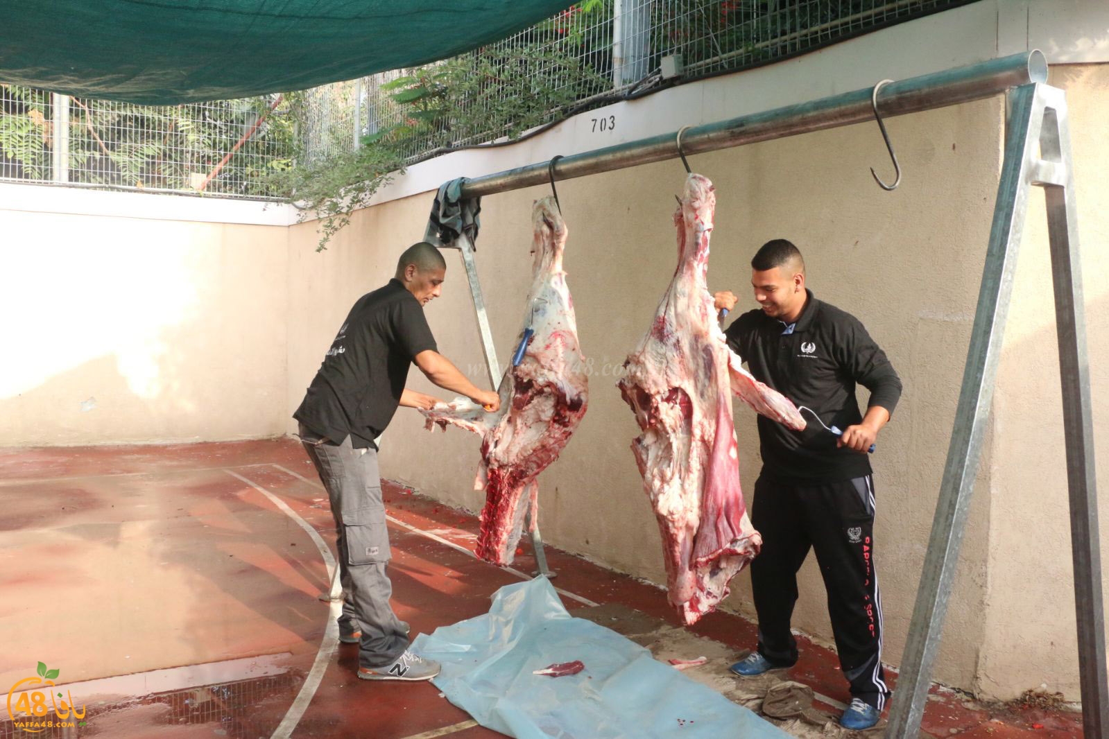 lo7om jam3iya u3 (7).jpg